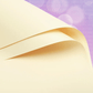 Solid Floral Bouquet Wrapping Paper